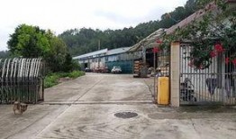 广州狮岭镇最新爆料,揭秘神秘事件背后的真相